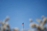 США пропонують послабити санкції проти росії в мирній пропозиції щодо війни рф проти України - Bloomberg
