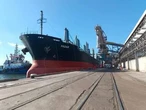 М’яч на полі правоохоронців: що буде з тими, хто намагається блокувати роботу підприємств-учасників зернової ініціативи