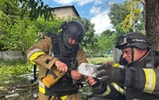 У Родинському Донецької області бійці ДСНС врятували беззахисне пташеня, яке через вибух випало з гнізда