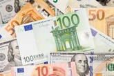 Послаблення гривні до євро мало незначний вплив на інфляцію - НБУ