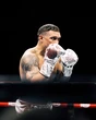 WBO розпорядилася провести переговори про бій на захист титулу Усика