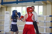 "Графік як у світових чемпіонів": Вихованці секції SpartaBox та Favbet Foundation проводять свій перший тренувальний табір