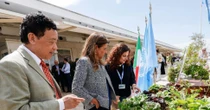 Acqua del rubinetto e luce solare, la rivoluzione idroponica di Fao e La Sapienza
