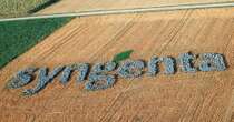 Syngenta rinuncia alla Borsa: niente quotazione