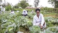 Uganda, agricoltura digitale e formazione per investire sui giovani