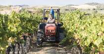 Garden Gastronomy, quattro indirizzi da provare dalla Toscana alla Sicilia