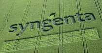 Syngenta, ok alla quotazione a Shanghai. Maxi Ipo da 8,5 miliardi di euro