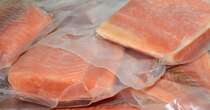 Crisi del salmone, Bakkafrost crolla ad Oslo con warning sui conti II trimestre