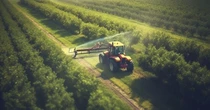 Arriva il servizio civile in agricoltura: ecco di che si tratta e chi coinvolge