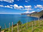 Trekking in verticale tra le pietre e il mare delle Cinque Terre