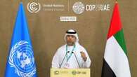 COP28, Emirati Arabi: il consenso può fornire risultati ambiziosi