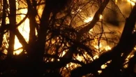 Primo grande incendio di stagione in Francia: bruciati 600 ettari