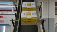 I 30 anni di Barilla a Novara: nello stabilimento di Pavesini e Ringo