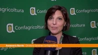 Agricoltura, Barrile "Oltre a crescita anche responsabilità sociale"
