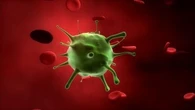 Covid, la qualità dell’aria pesa sul rischio di infezione