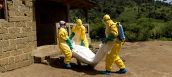 Weltgesundheitsorganisation erklärt Ebola-Ausbruch in Guinea für beendet