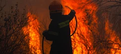 „Alptraumbrand“ am Rande von Athens