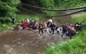 ВідеоНа Буковині обвалився дерев’яний міст з дітьми