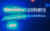 У Польщі в одному із сіл виявили чималу кількість останків ненароджених дітей