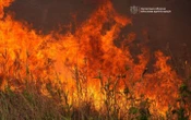 ФотоРосійська армія вкотре вдарила дронами по Запоріжжю