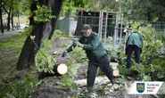 Львів вдруге за тиждень накрила негода, в місті не працює електротранспорт
