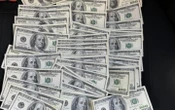 ​У Києві затримано двох осіб, які за $500 000 обіцяли посаду директора держпідприємства НААН