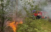 ФотоУ Чернігівській області внаслідок падіння дрона сталася пожежа в екосистемі