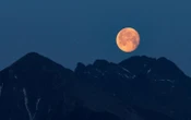 NASA представило перші деталі створення бази на Місяці: у пріоритеті — посадкові модулі, місяцеходи та дрони