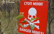 На Харківщині чоловік підірвався на російській міні
