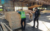На Житомирщині посадовців лісової галузі підозрюють у завданні майже 23 млн грн збитків державі