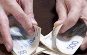 Від початку року до держбюджету надійшло понад мільярд гривень від приватизації