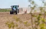 В Україні завершується посівна, аграрії засадили 97% від прогнозованих площ