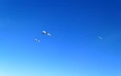 У Литві угорські винищувачі НАТО піднялися на перехоплення літаків РФ біля кордону Латвії
