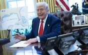 Трамп анонсував указ, що знизить вартість рецептурних ліків для США і підвищить – для інших країн
