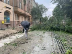 Через бурю у Львові повалені дерева, затоплені вулиці, пошкоджені дахи