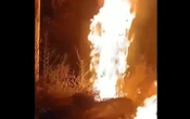 "Горіло знатно": партизани завдали удару по військовій логістиці росіян на ТОТ Луганщини