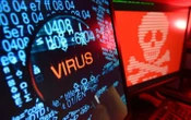 Внаслідок атаки українських хакерів на російську систему "Правосуддя" знищено третину архіву судових справ