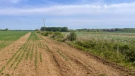 Farming budget ‘must be protected as drought looms’