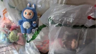 More than 100 fake Labubu dolls seized in Moray