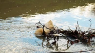 ‘Record’ 81 criminal investigations into water sector as sewage inspections soar