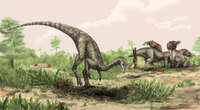 Where did dinosaurs first evolve? Scientists have an answer