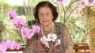 Morre aos 97 anos Luiza Trajano Donato, fundadora do Magazine Luiza
