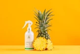 Conheça a startup que transforma cascas de abacaxi em produtos de limpeza