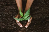 Rumo à COP28: um poderoso apelo dos ministros de agricultura das Américas 
