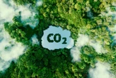 Diretor da KPMG diz que financiamentos devem ser mais confiáveis para avançar preservação ambiental
