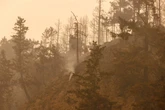 "Incêndios zumbis" se alastram e viram motivo de preocupação no Canadá