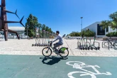 Menos colesterol e mais tempo de vida: veja 10 benefícios de andar de bicicleta para a saúde