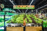 GPA quer reduzir queima de caixa em 2024 e vai focar na abertura na bandeira Minuto Pão