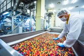 Fini dobra de tamanho e investe R$ 350 milhões em nova linha de produção no Brasil