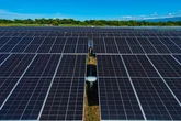 Por que a energia solar não está mais crescendo tanto nos EUA?